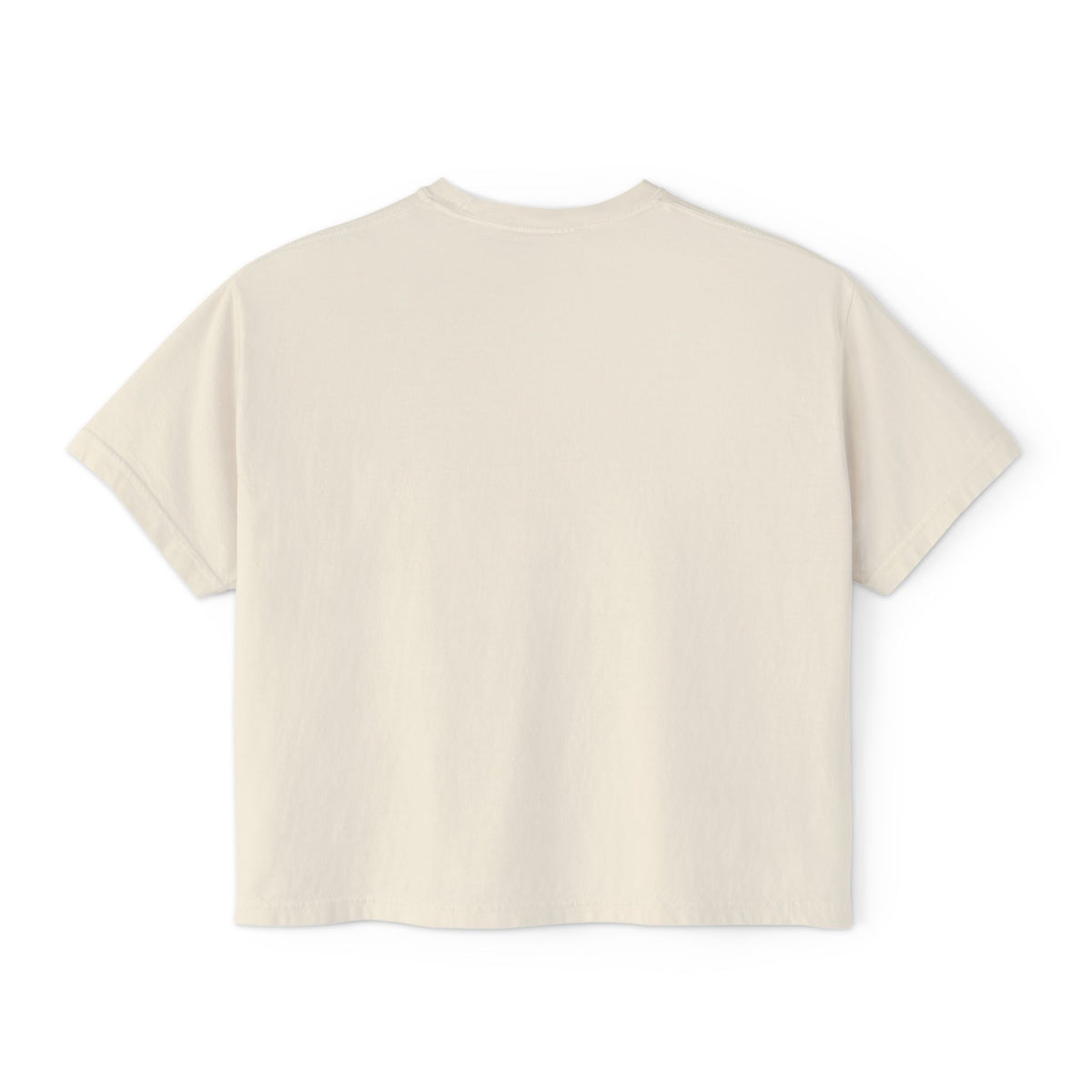 Ivory Course America boxy tee, flat back view, unprinted