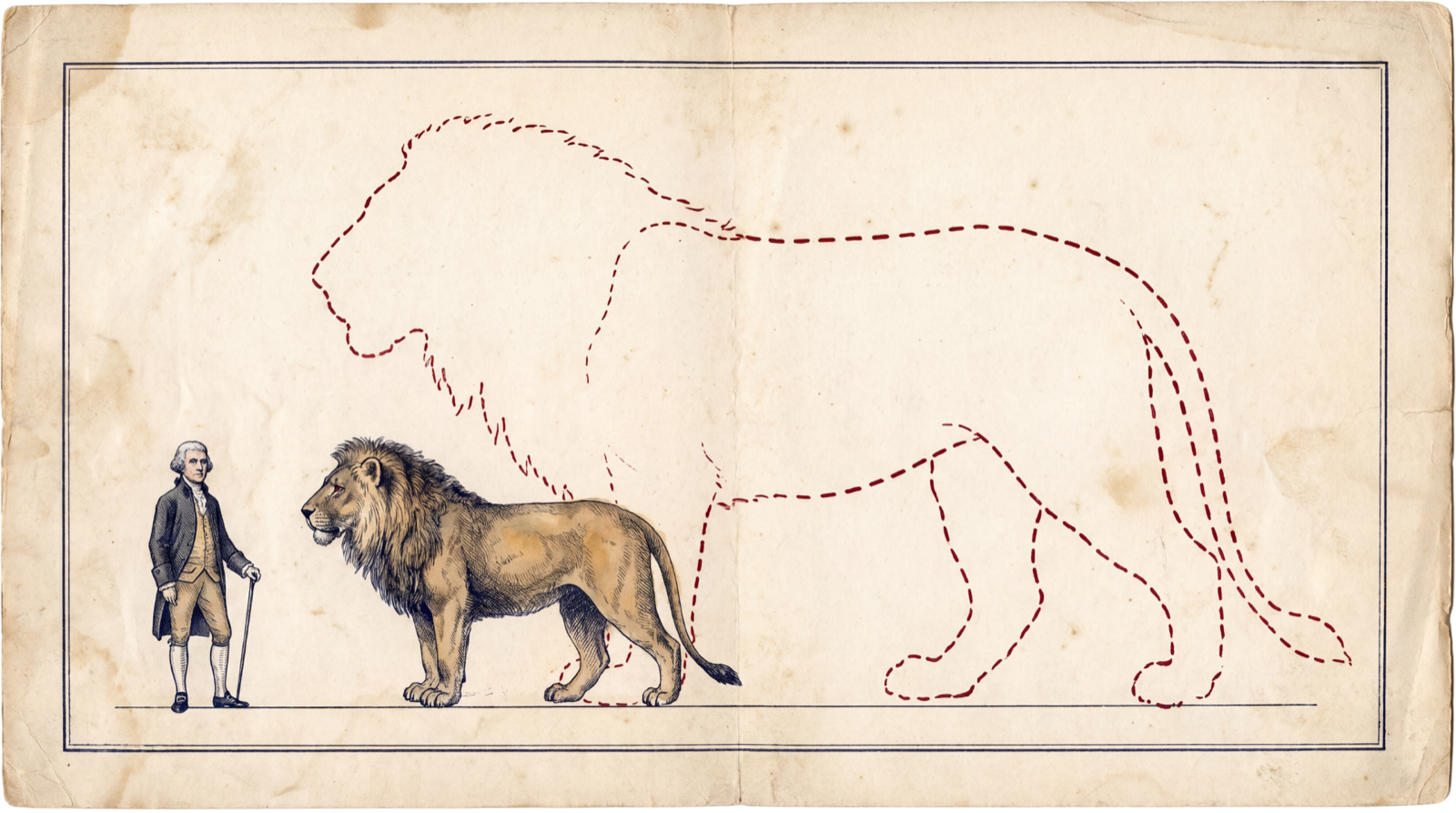 Comparative scale diagram: a standing man and an African lion beside the dashed red outline of Jefferson's imagined giant Megalonyx, more than three times the lion's size