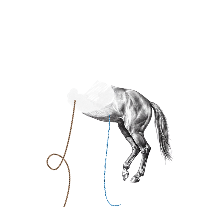 How to Ruin a Legend tee design: a horse drawn as a crude scribble at the front dissolving into a masterful engraving at the rear, labeled The Odyssey